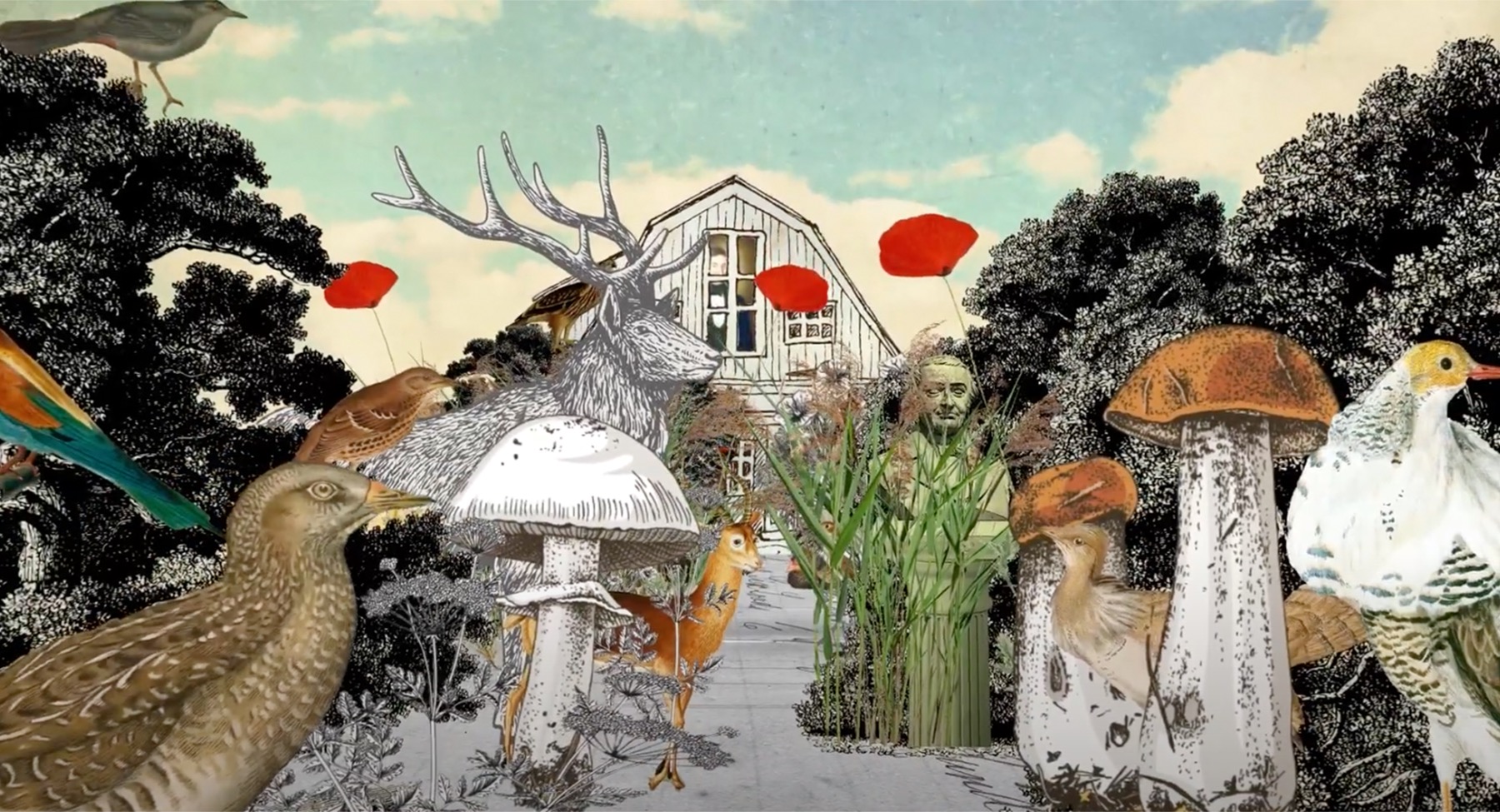 Screenshot aus dem Film über Johann Friedrich Naumann mit Material von Schloss Köthen © ca:artix