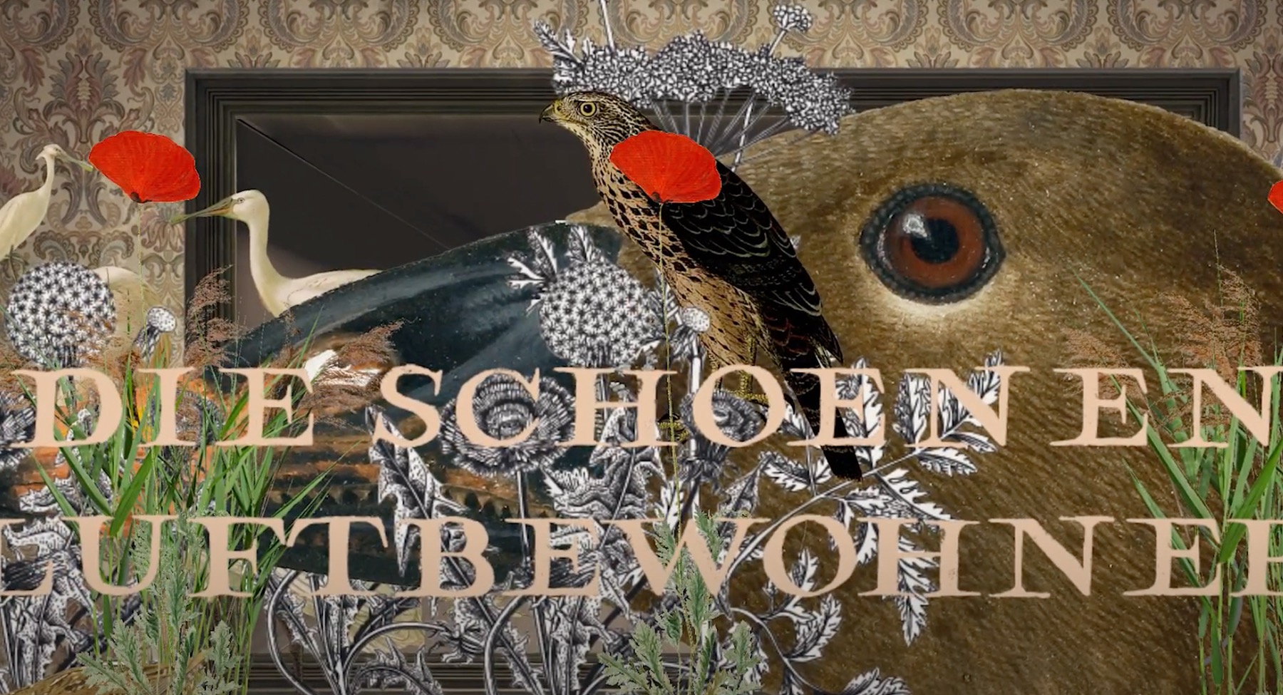 Screenshot aus dem Film über Johann Friedrich Naumann mit Material von Schloss Köthen © ca:artix